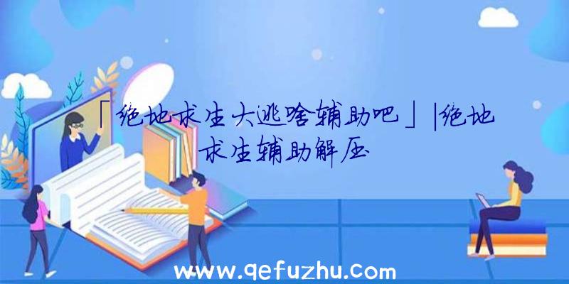 「绝地求生大逃啥辅助吧」|绝地求生辅助解压